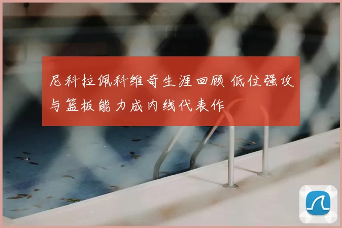 尼科拉佩科维奇生涯回顾 低位强攻与篮板能力成内线代表作