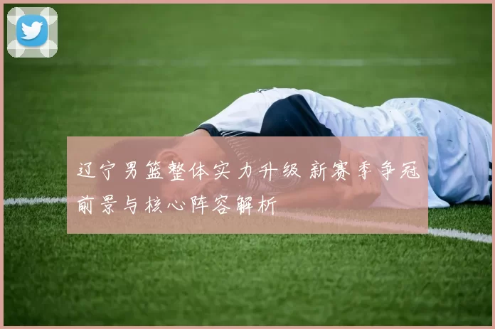 辽宁男篮整体实力升级 新赛季争冠前景与核心阵容解析