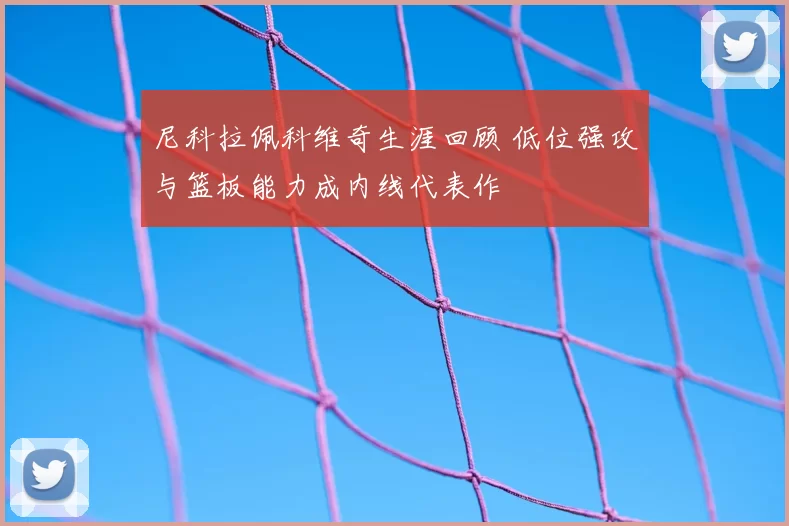 尼科拉佩科维奇生涯回顾 低位强攻与篮板能力成内线代表作